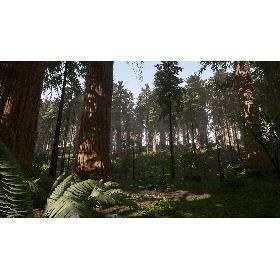 Redwood Forest for Game Ready model